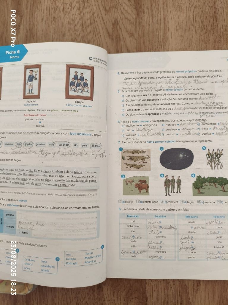 Manuais escolares palavra passe 6°ano