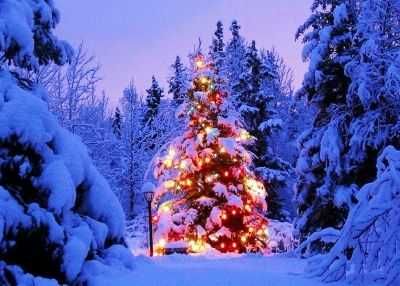 Sylwester, ferie w górach, Korbielów