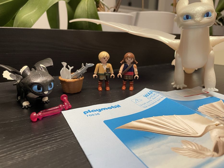 Playmobil 70038 Dragons - Jak wytresować smoka
