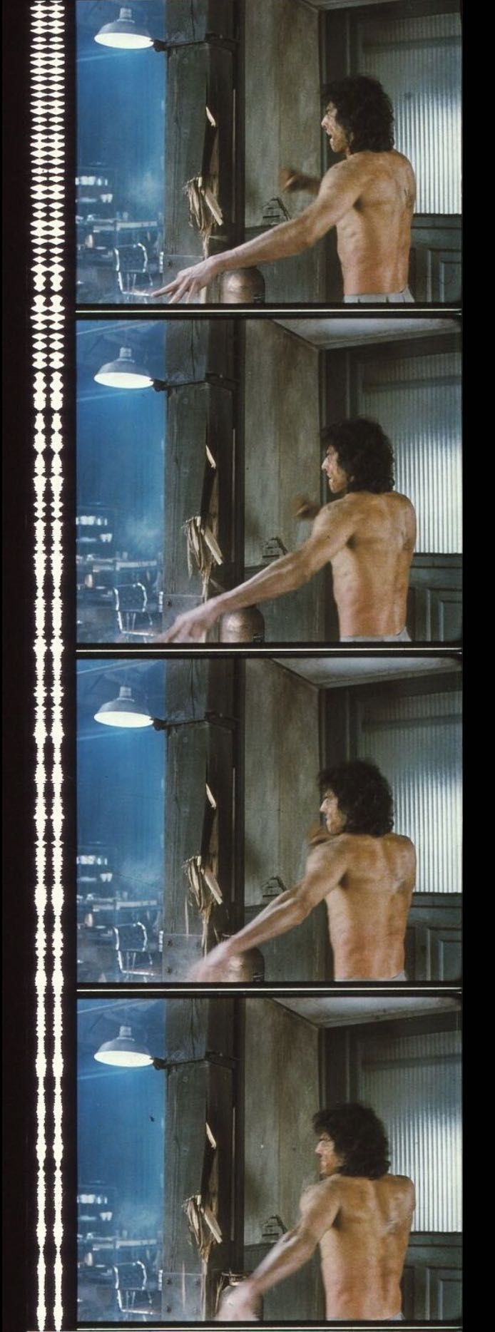 Fotogramas em película 35mm do filme culto THE FLY (A MOSCA) - 35mm