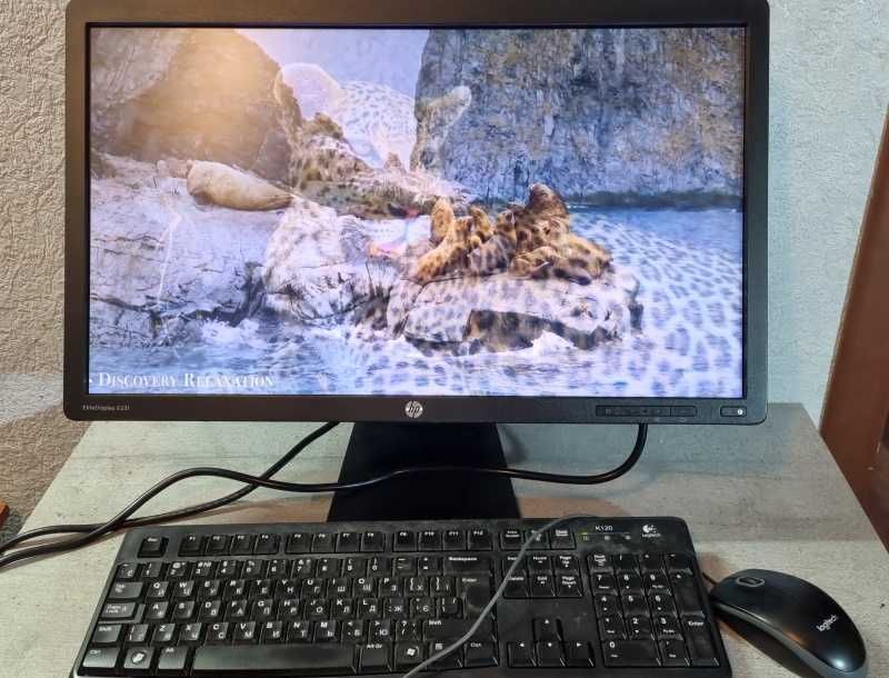 Монітор 23" 1920*1080 TN HP E231 LED VGA DVI DP USB*2 Pivot Б/В