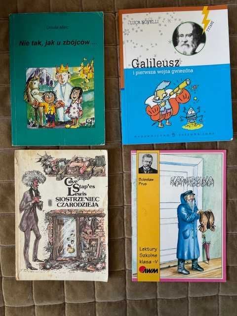 Lektura szkolna Kamizelka