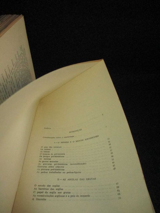 Livro Descoberta do Mundo Subterrâneo Michel Bouillon