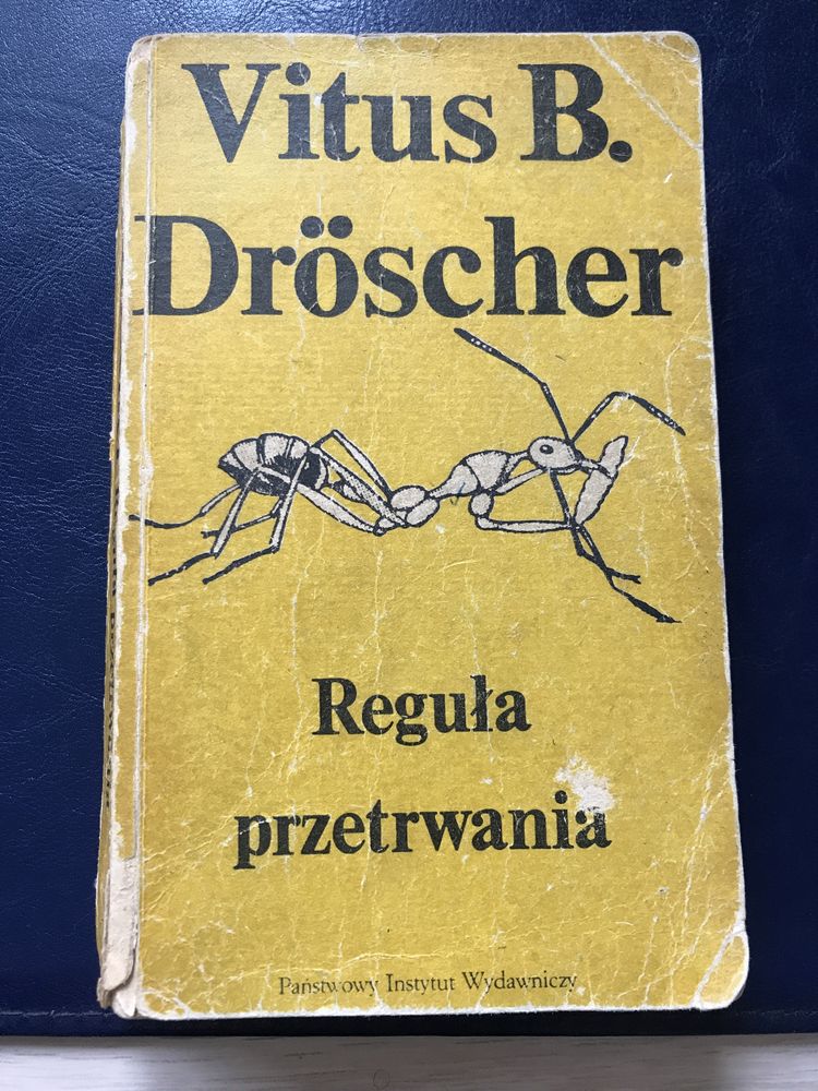 Reguła przetrwania