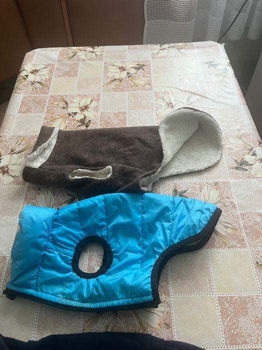 Одежда для маленькой собачки