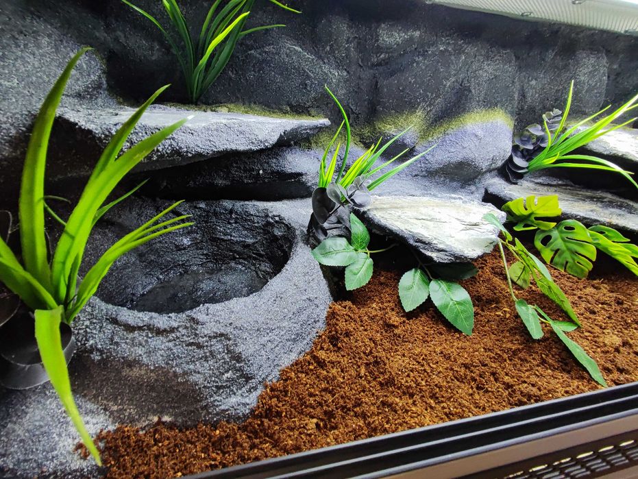 Terrarium tropikalne nr604 100/40/40 dla węża boa pyton NA ZAMÓWIENIE