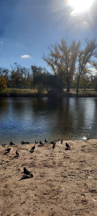 Те,що може здійснити  Вашу  мрію