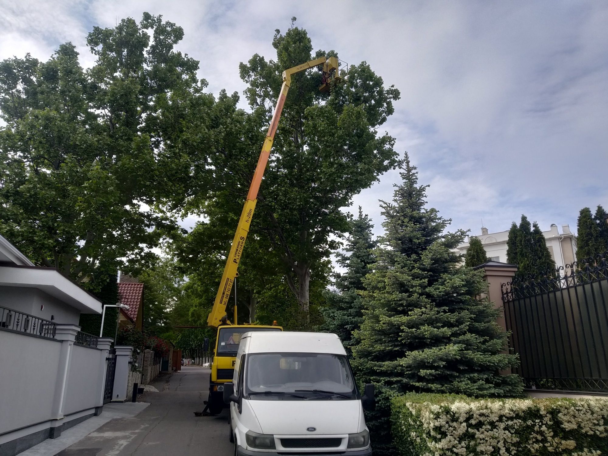 Стрижка хвойных , туй , кустарников , живой изгороди . Садовник