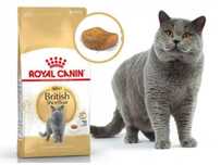 13 кг Роял Канін для Британців Royal Canin British Adult по 319 грн/кг