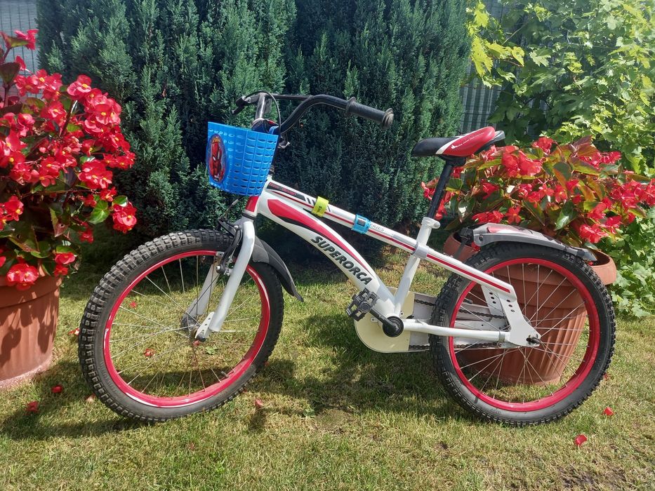 Rower Super Orca 20"