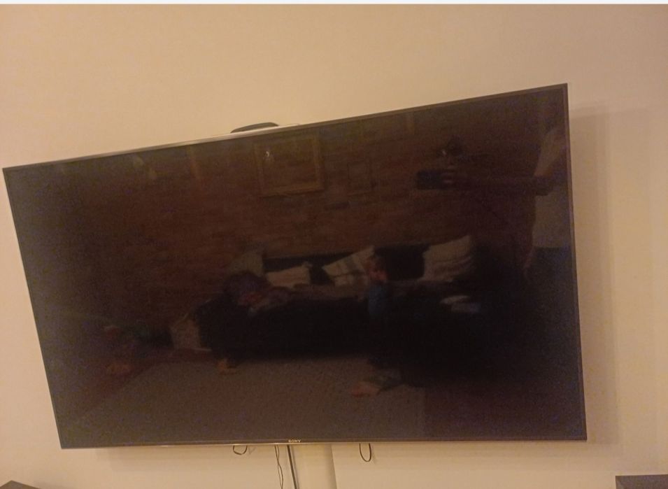 Telewizor Sony 55 cali z uszkodzona matryca