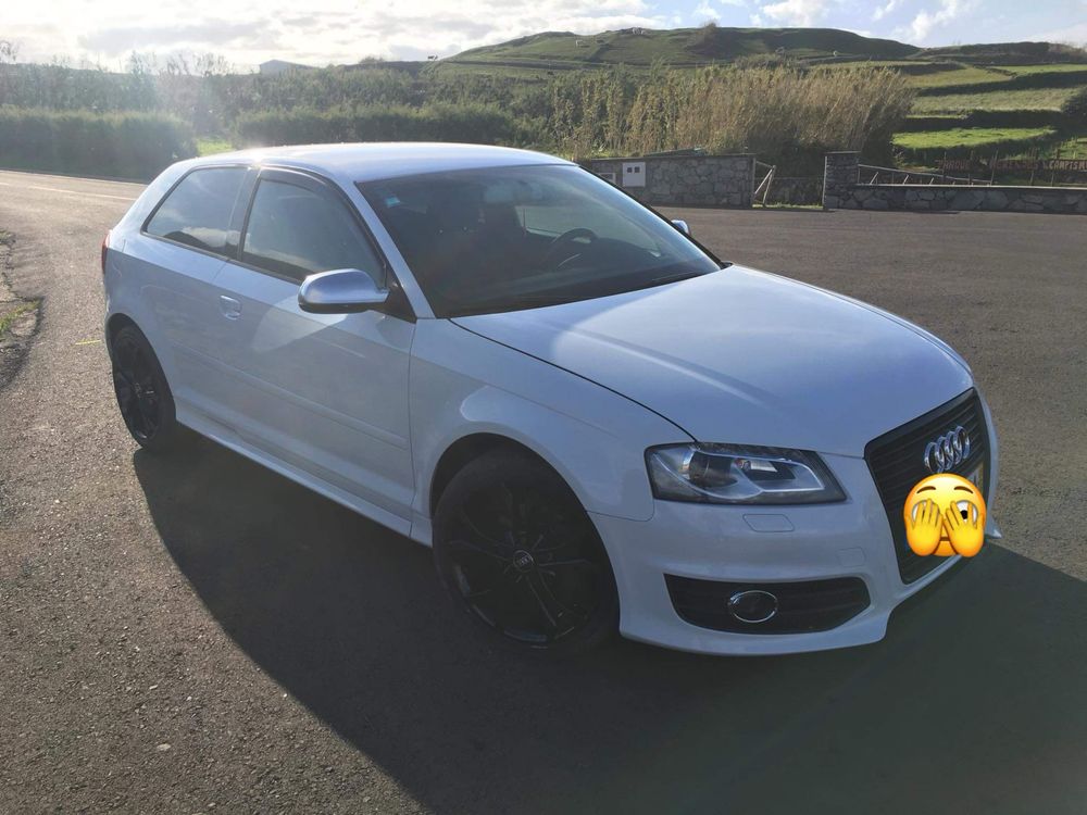 Audi A3 8P 2.0TDI