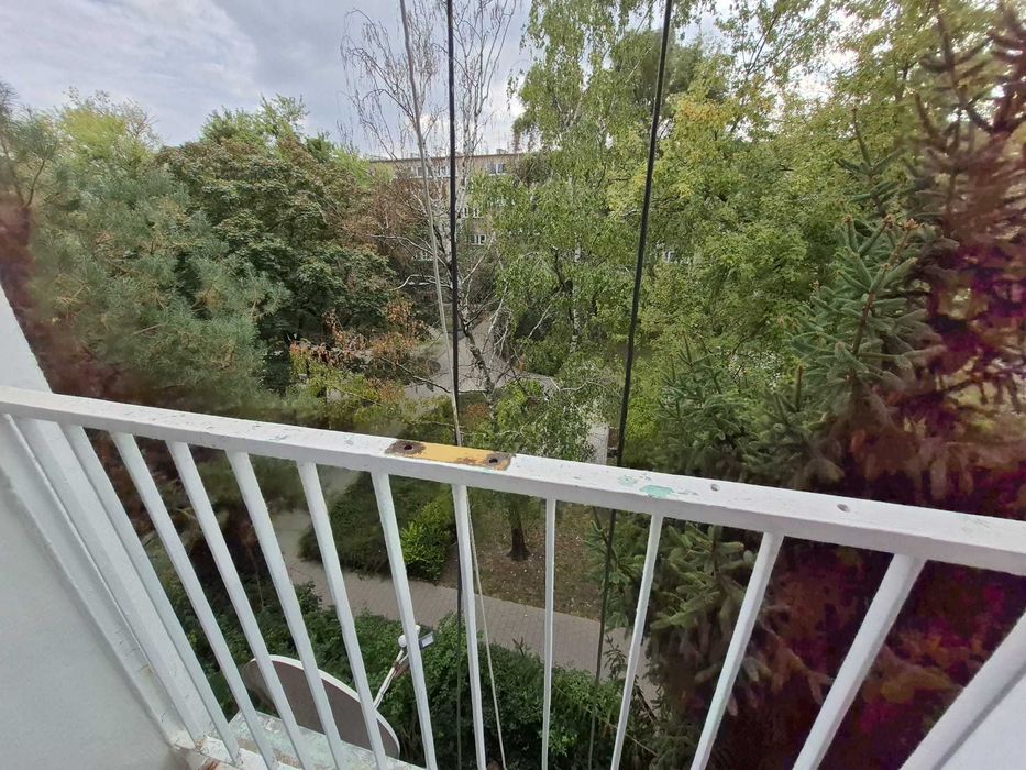 pl. Nankiera  okolica Rynku , Galerii Dominikańskiej