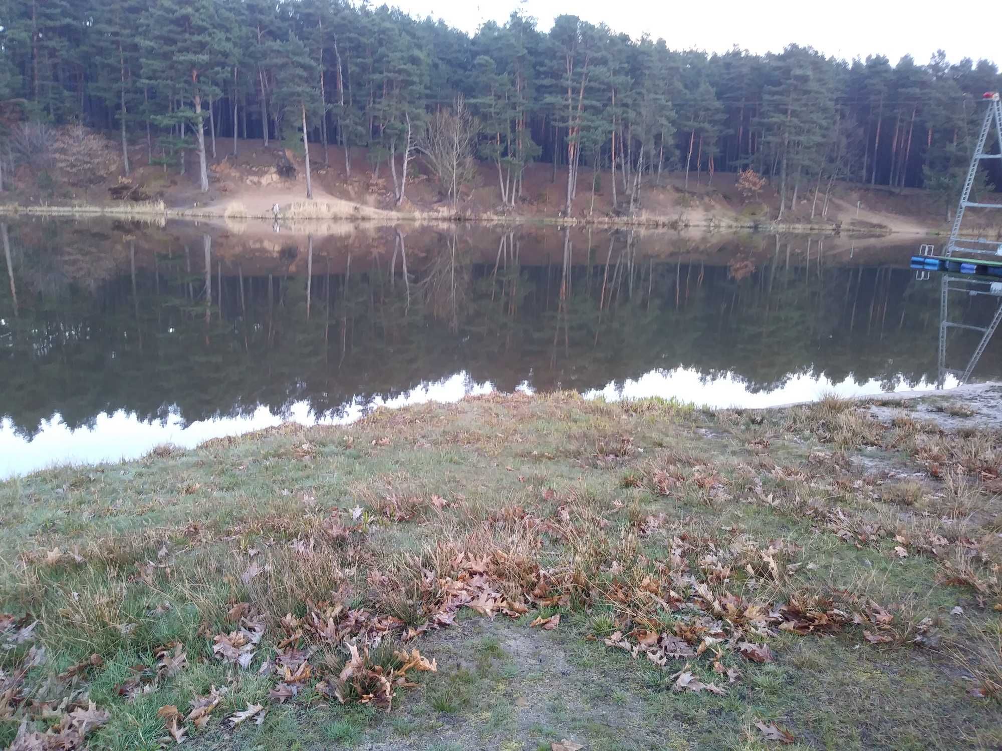 Sprzedam 300 m2 zalewu w Kaniowie, gm Zagnańsk