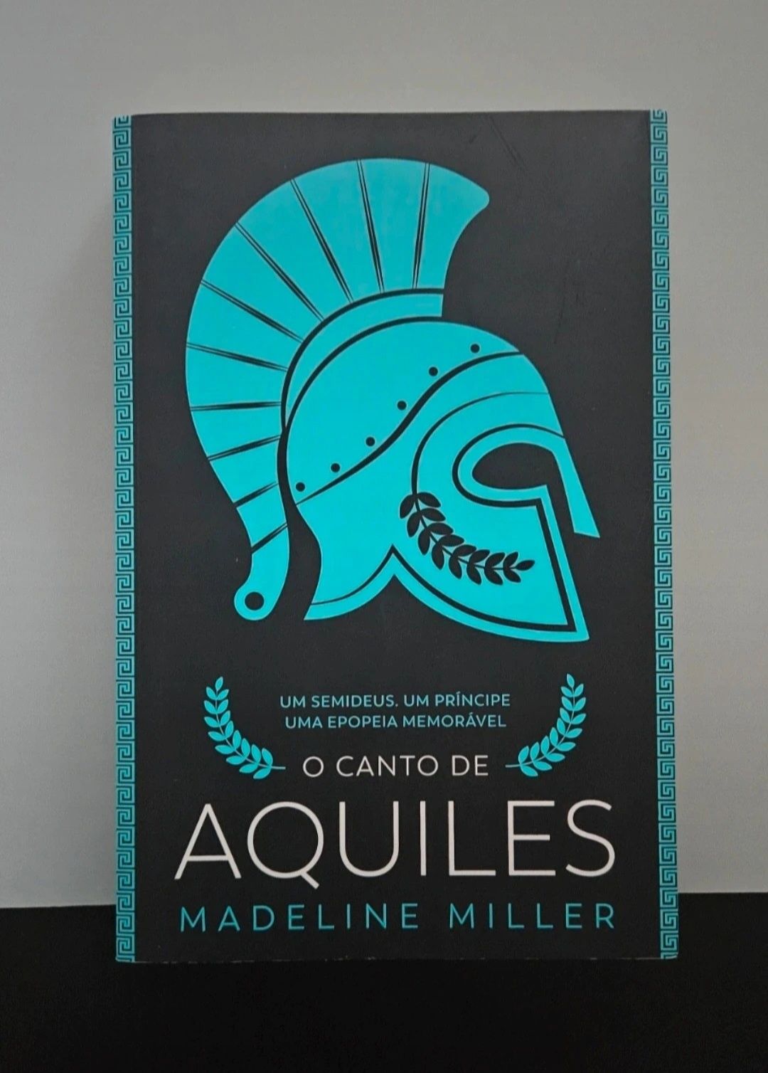 Livro - O canto de Aquiles