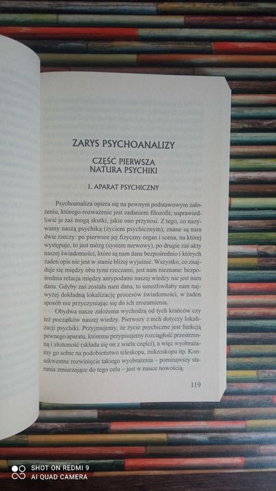 Poza zasadą przyjemności Zygmunt Freud
