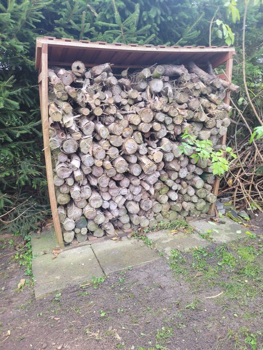 Drewno gałezie deski