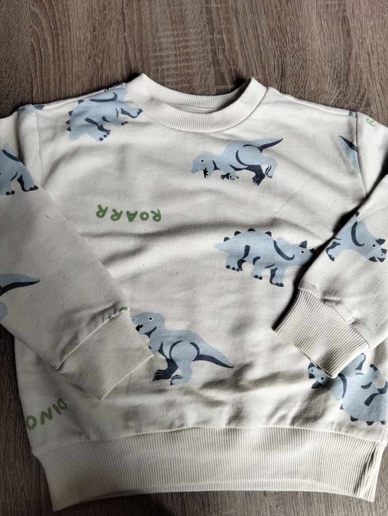 Dres chłopięcy dinozaury 98