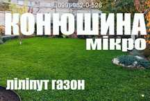 АКЦІЯ! 1кг газон конюшина біла мікро 100% насіння семена клевер белый