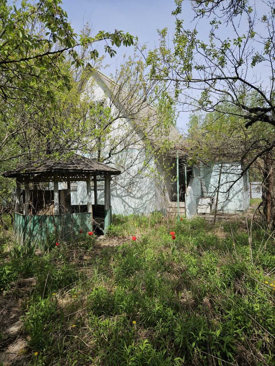 Ціну знижено. Продаж дачі в с.Глехава - 3
