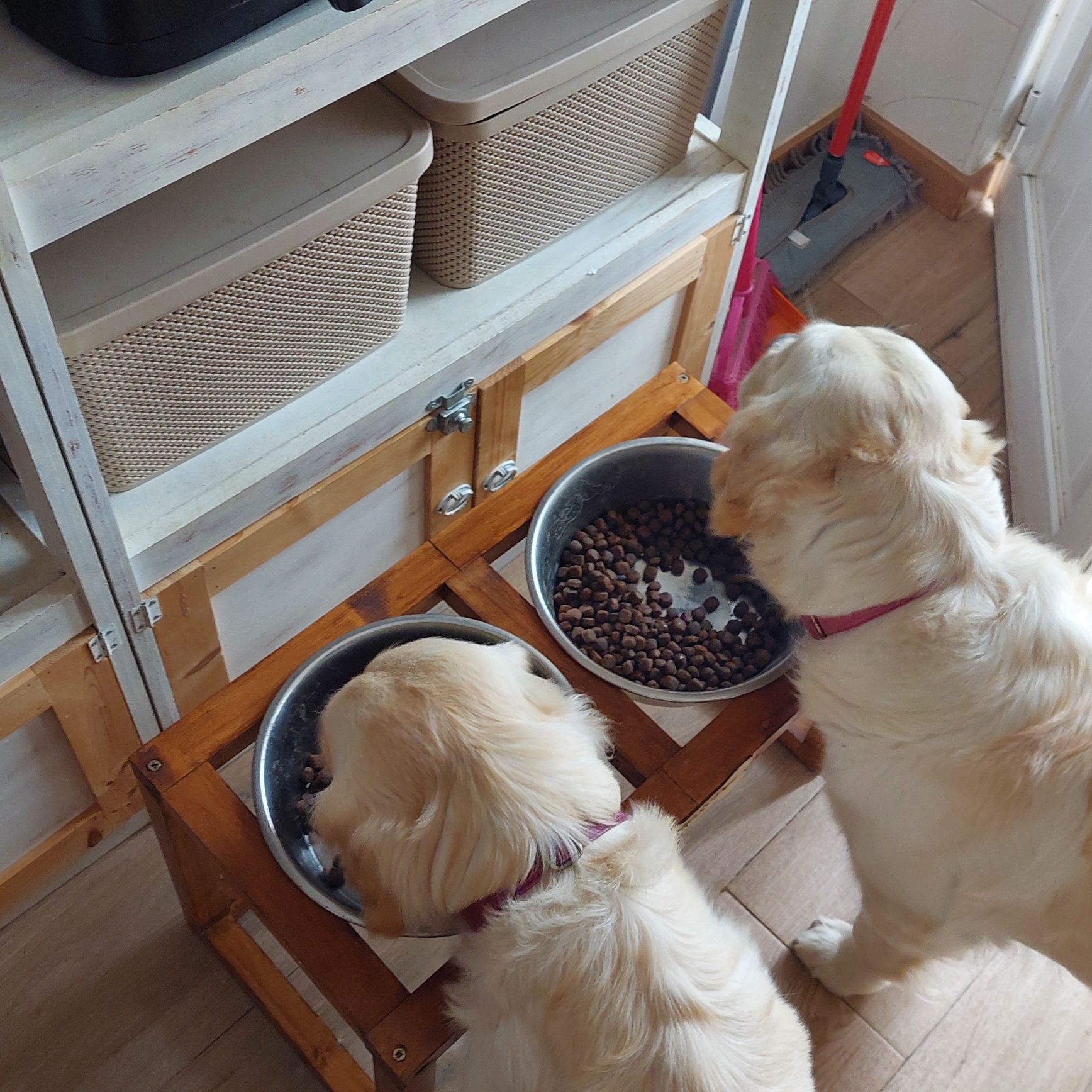 Comedouros para cães ou gatos