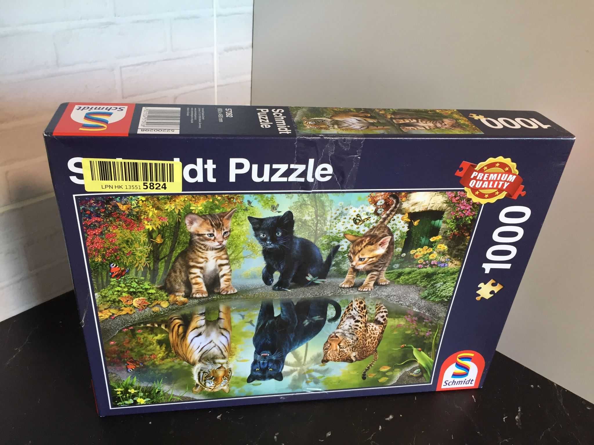 Puzzle 1000 Miej wielkie marzenia