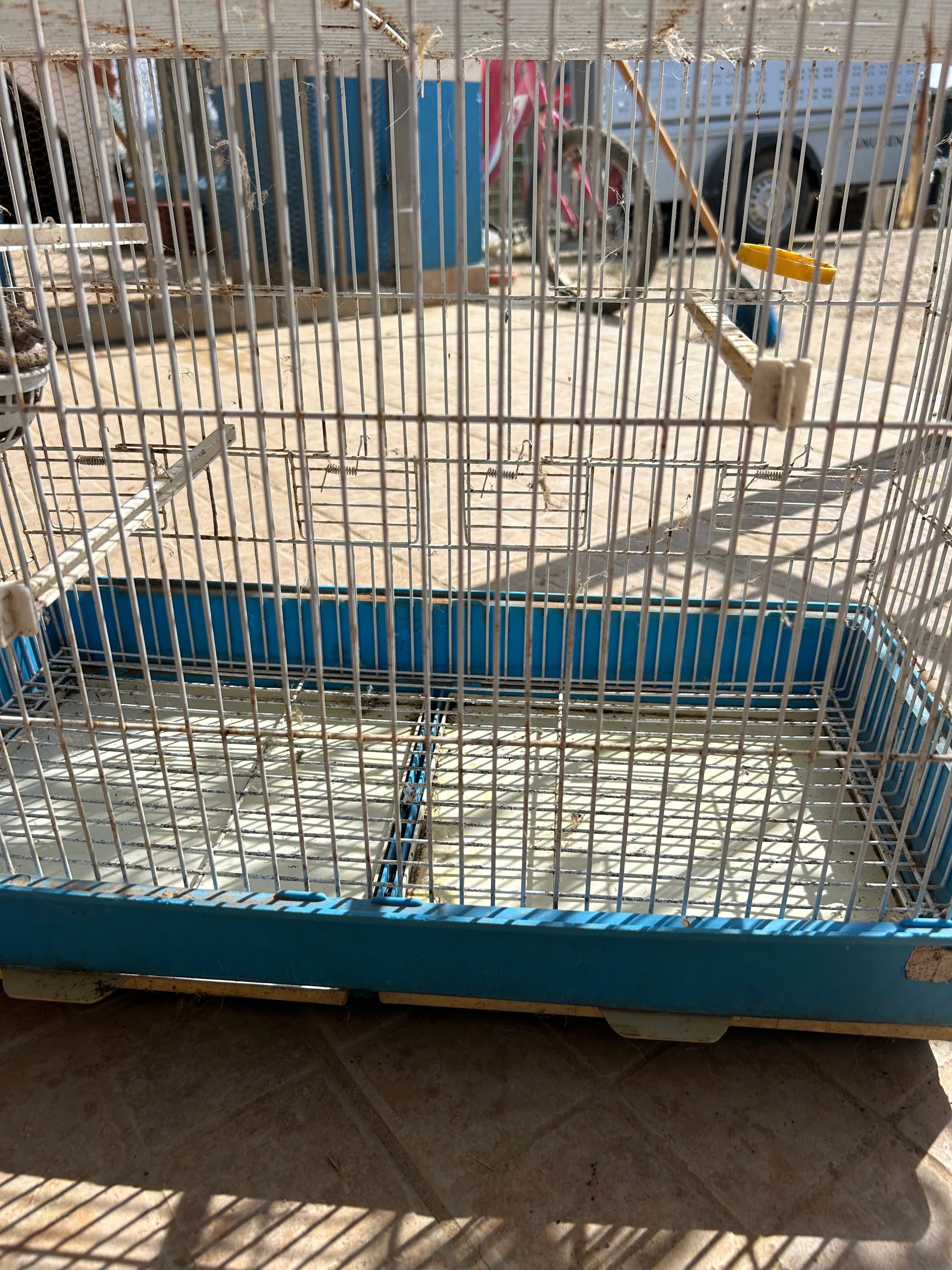 Gaiola para passarinhos