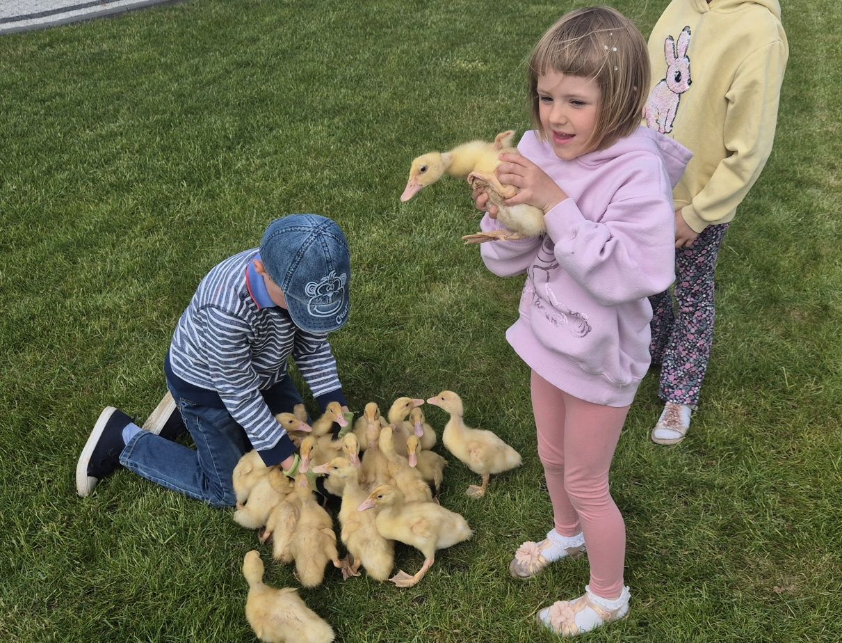 Pokoje gościnne nad morzem - AGROTURYSTYKA blisko Karwi