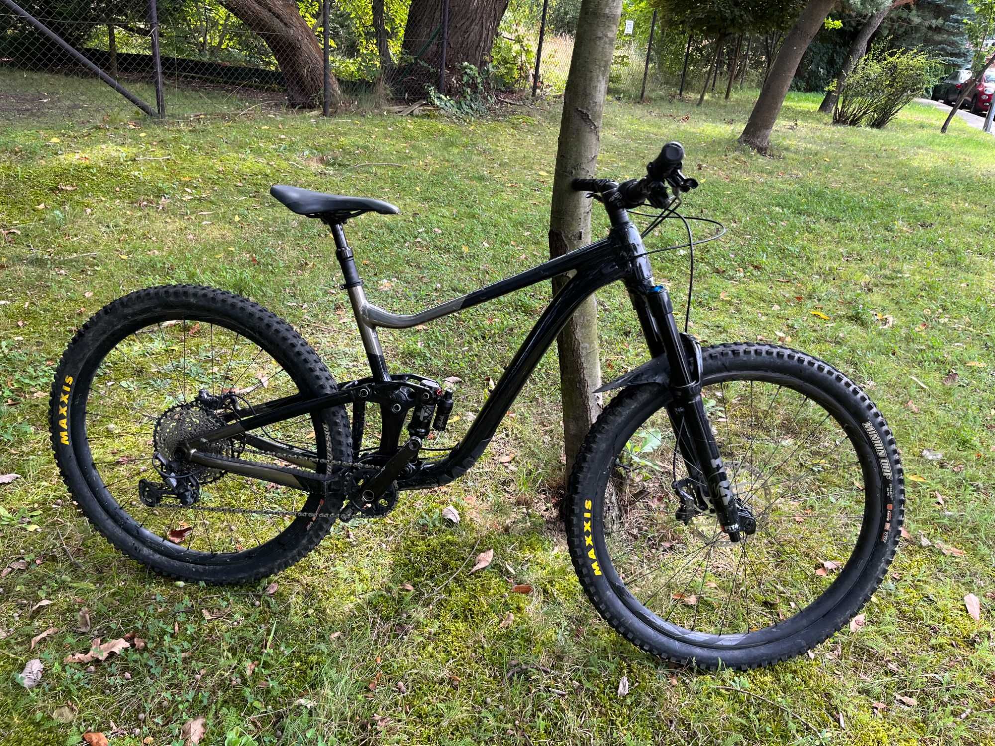 Rower górski Giant Trance X 29 1