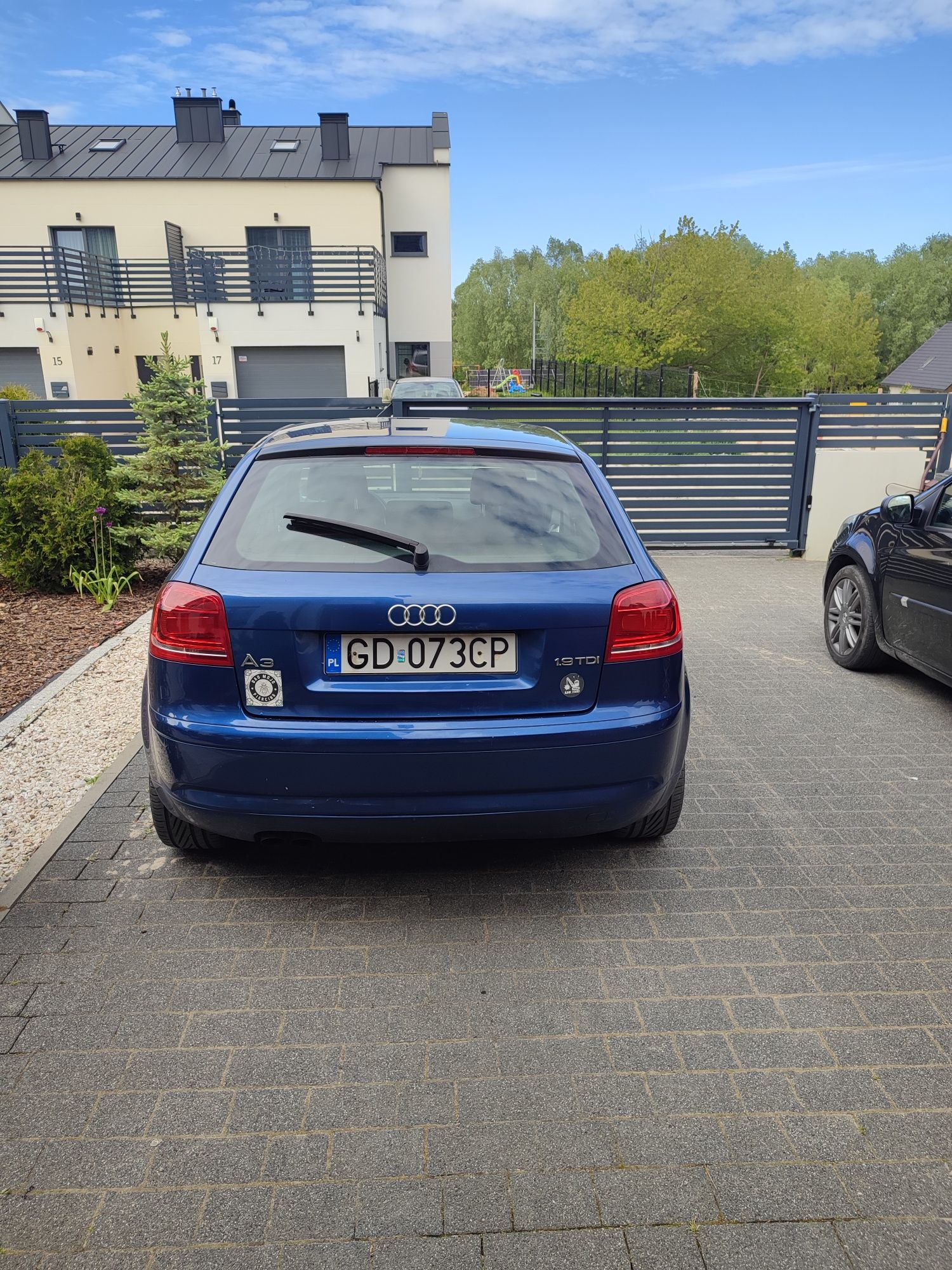 Audi A3 8P 1.9 TDi 105 KM