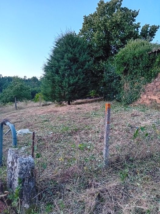 Limpezas de terrenos e podas de árvores