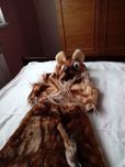 Карнавальний костюм собачка