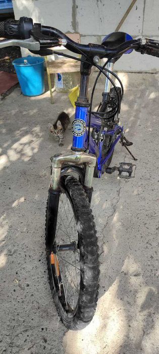 Велосипед підлітковий (дитячий) Winer panda (горний)