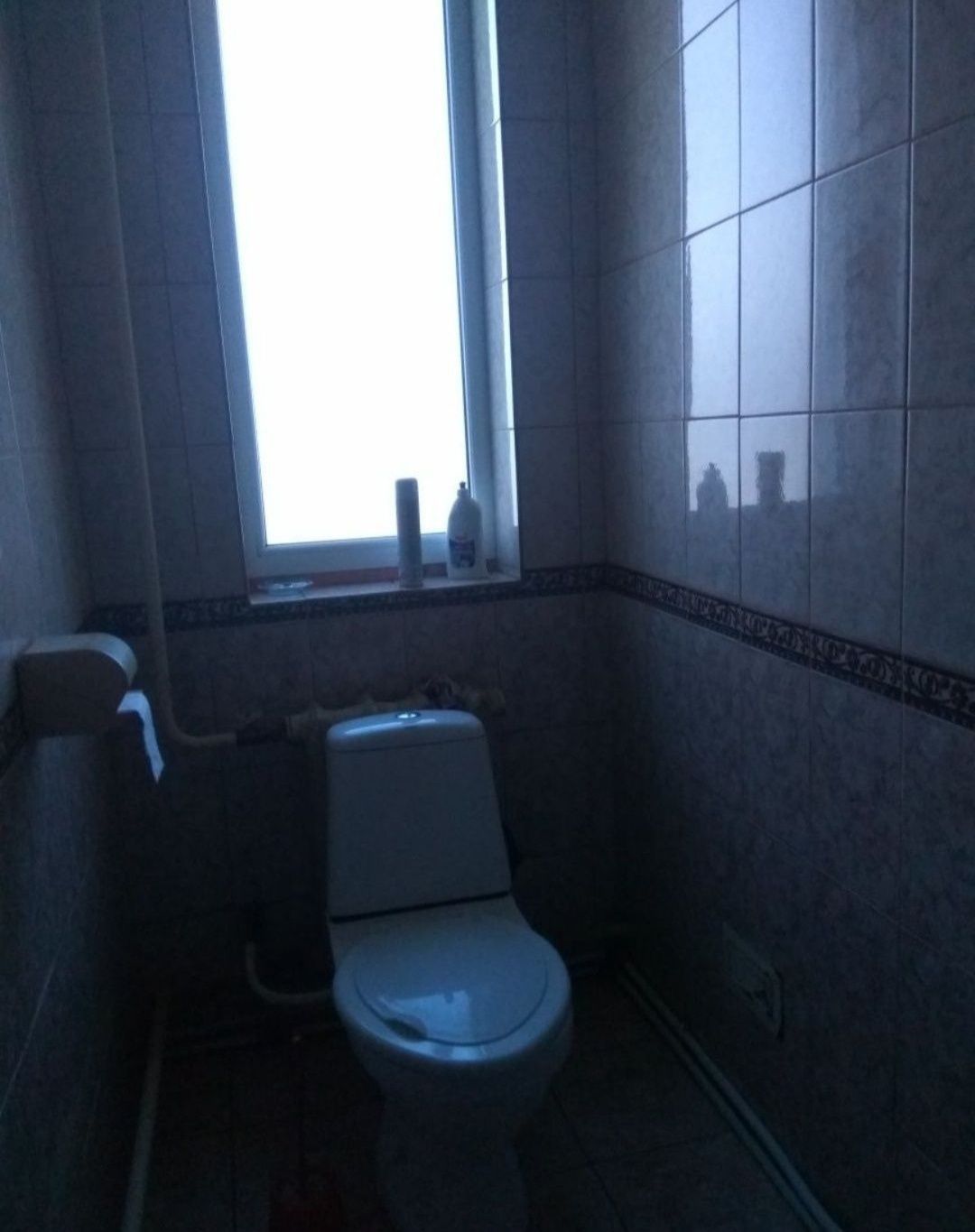 Продам шикарный двух этажный дом в Солоницевке