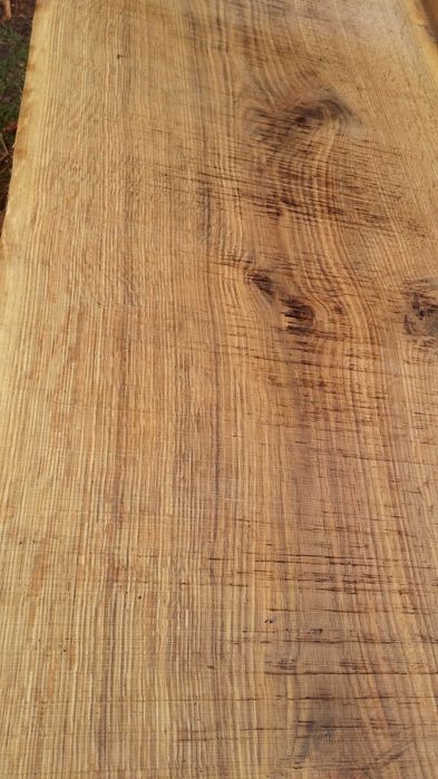 deski dębowe szer 40- 70 cm 8 - letnie dąb monolity suche na sztuki