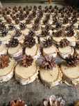 Winietki i plastry drewna - styl rustykalny, las, boho, natura