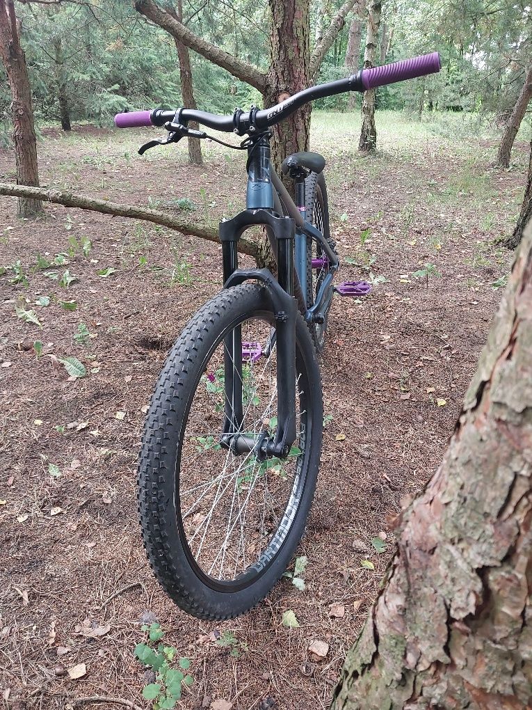 Ns bikes zircus dirt