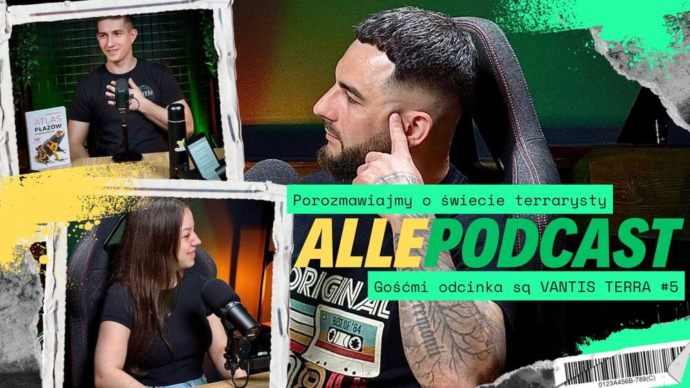 Karaczan turecki 200 szt.