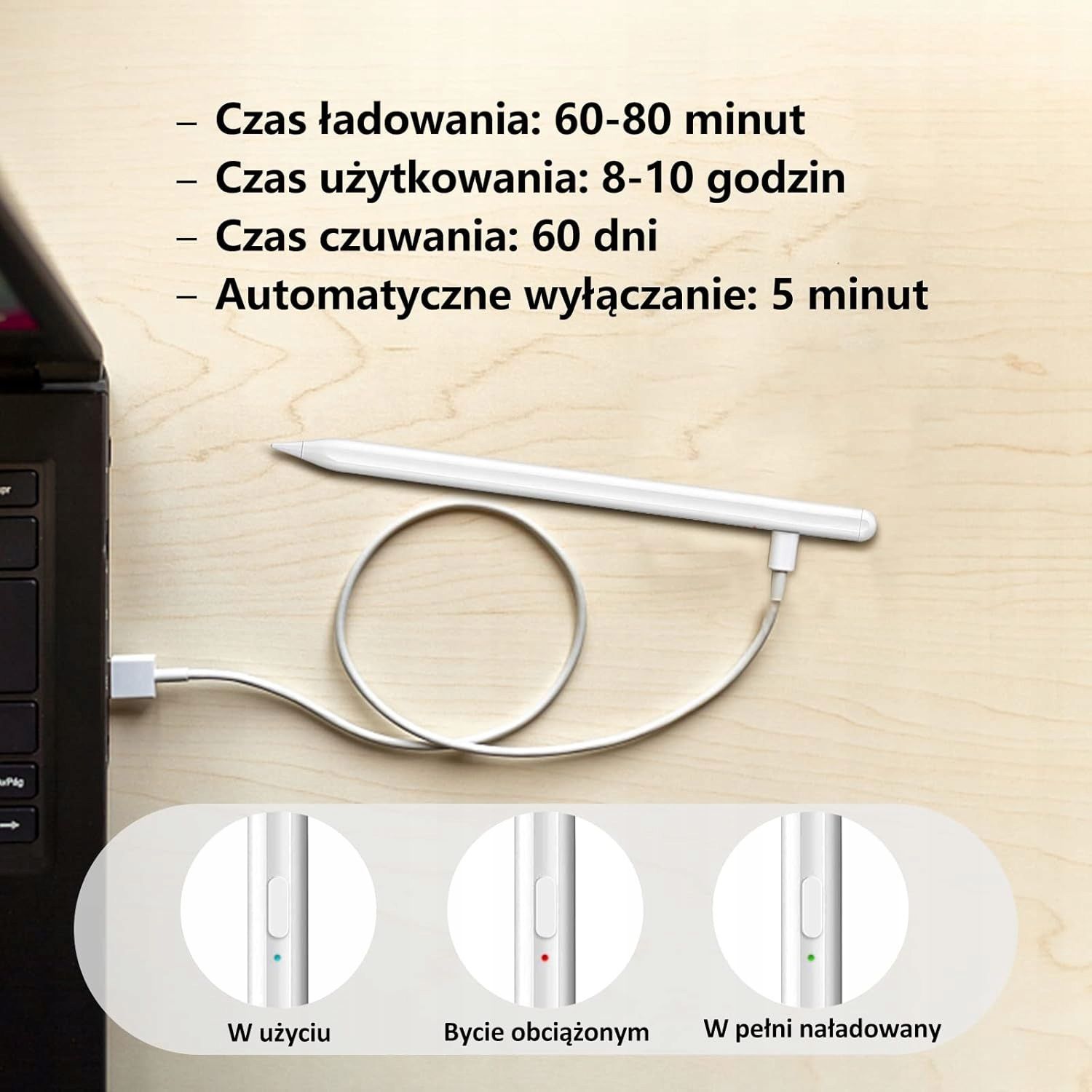 Rysik do Android iOS Uniwersalny Precyzyjny + 3 Końcówki + Rękawiczka