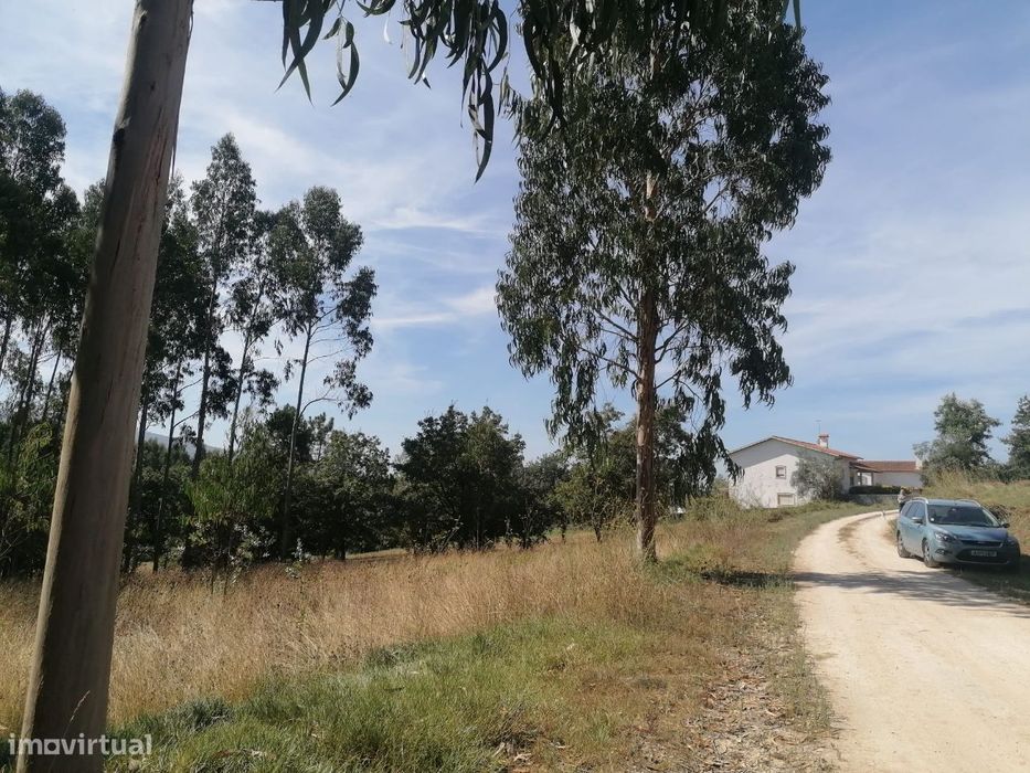Terreno Urbanizável na Costa Barrenta-Pedreiras, Juncal