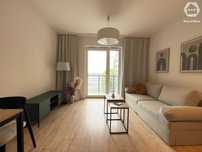 Studio | Od 11.08 | Bez prowizji i pośredników | Pets friendly