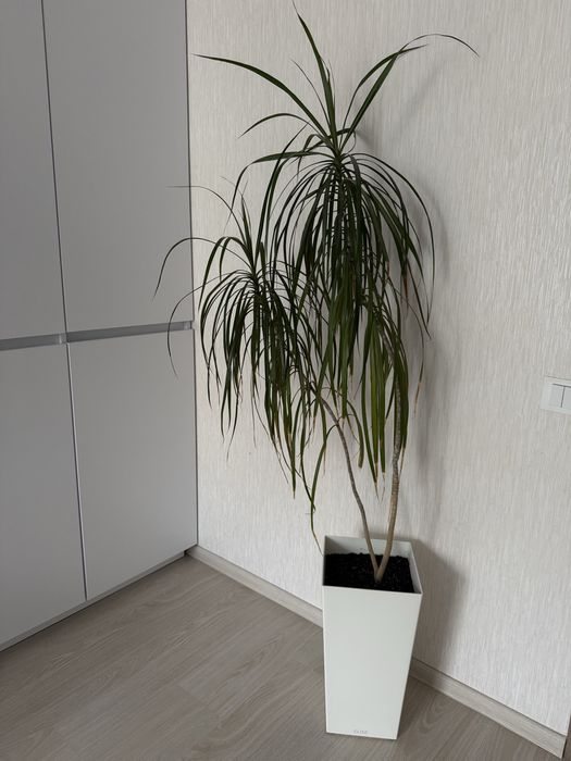 Продам шкаф ,стан нового