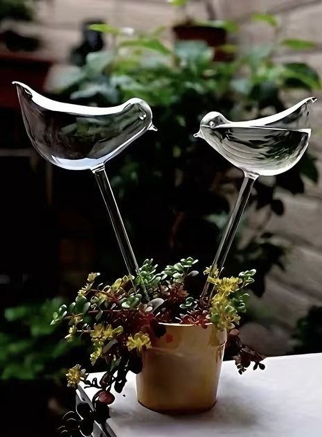 Колби для поливу , для кімнатних рослин полив