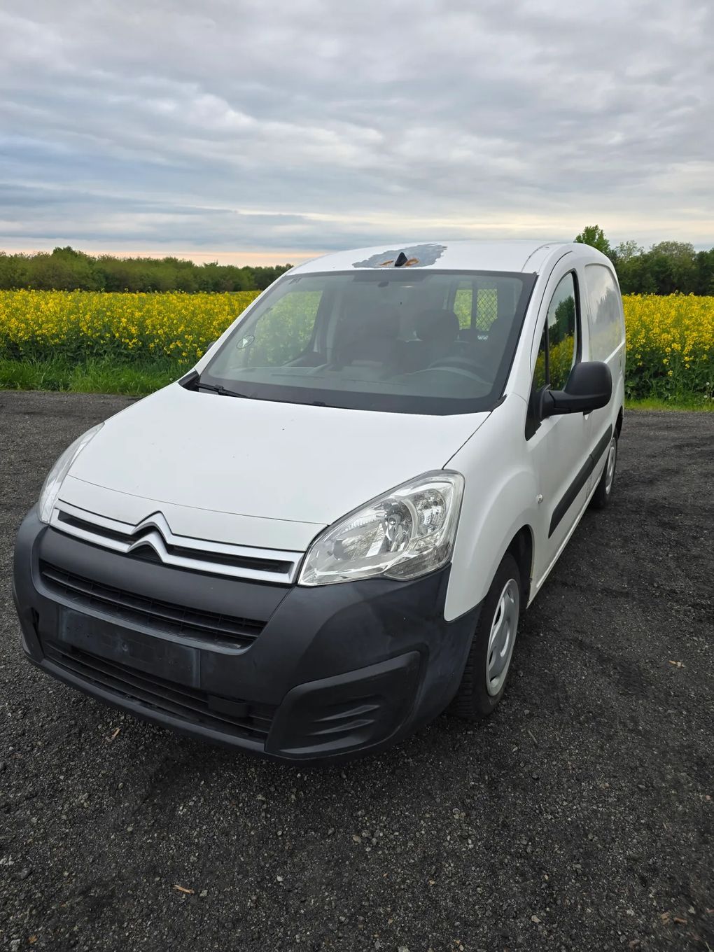 Citroën Berlingo  Citroen Berlingo 1,6 HDI