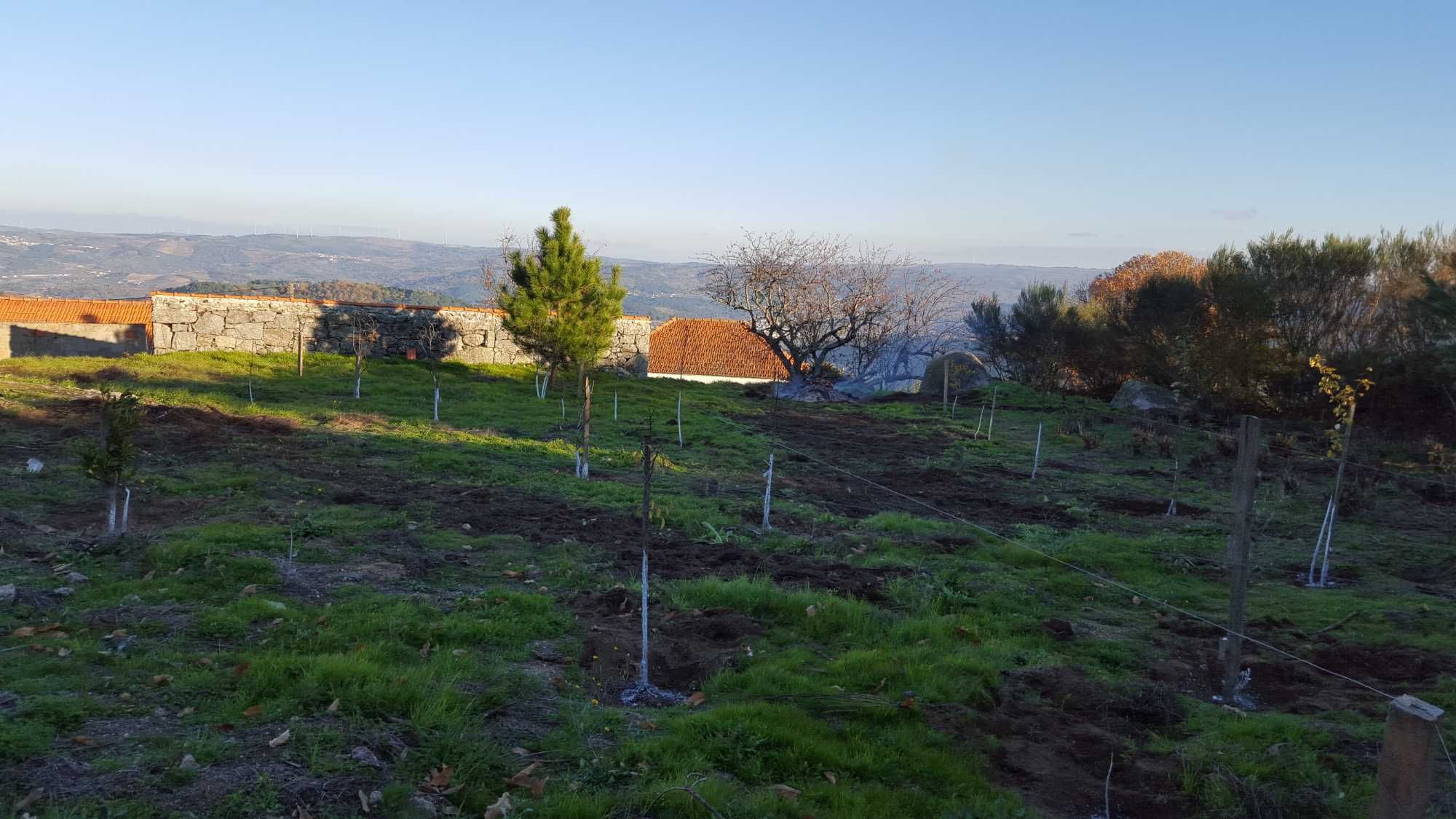 Terreno Urbano + Rústico, em Melcões, Lamego!