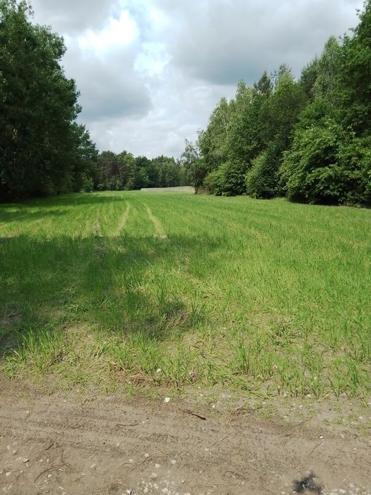 Piękna działka rolno budowlana otoczona lasami z trzech stron .