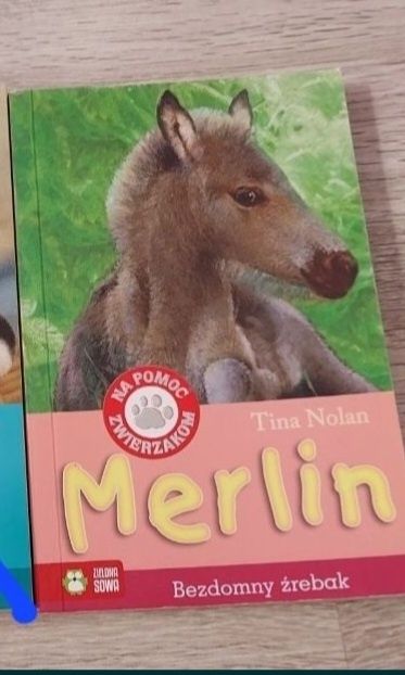 Na pomoc zwierzakom Merlin