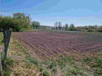 Działka rolno - budowlana 0,29 ha  położona nad jeziorem w Łasinie