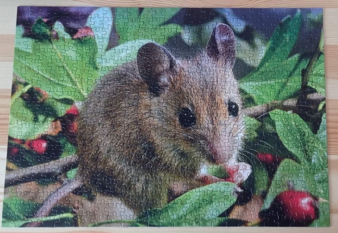 Puzzle Peliko, 500, Mysz leśna