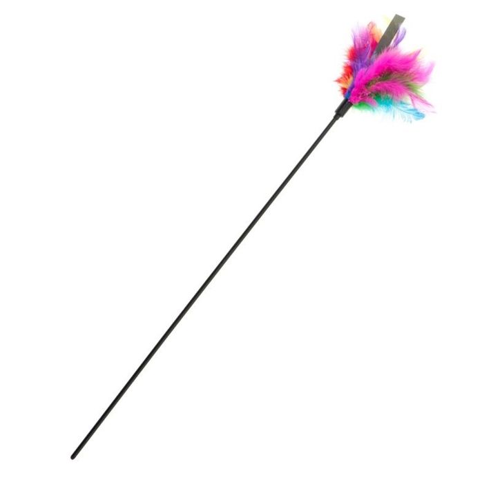 Wędka dla kota z piórkami